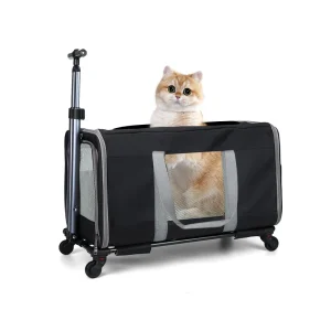 Cat trolly box - large