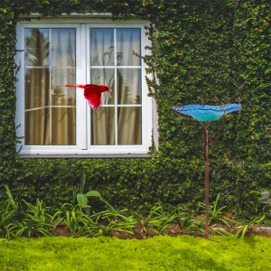 Large Outdoor Glass Bird Bath Garden Feeding Bowls